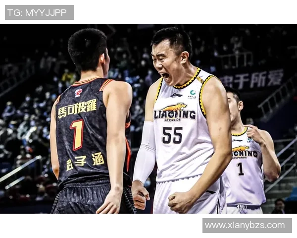 北京首钢与辽宁比赛VIP票价分析及购票指南详解