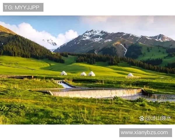 梅萨的魅力探秘：在这片神秘土地上感受自然与文化的交融之美