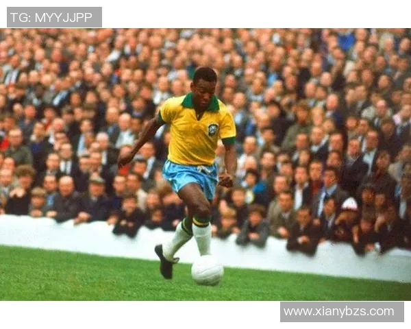 特拉帕托尼：从战术大师到足球传奇的辉煌人生与成就探索