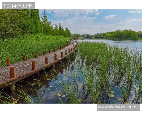 太湖之畔藏机巧思诗意流转探寻自然与人文的和谐之美